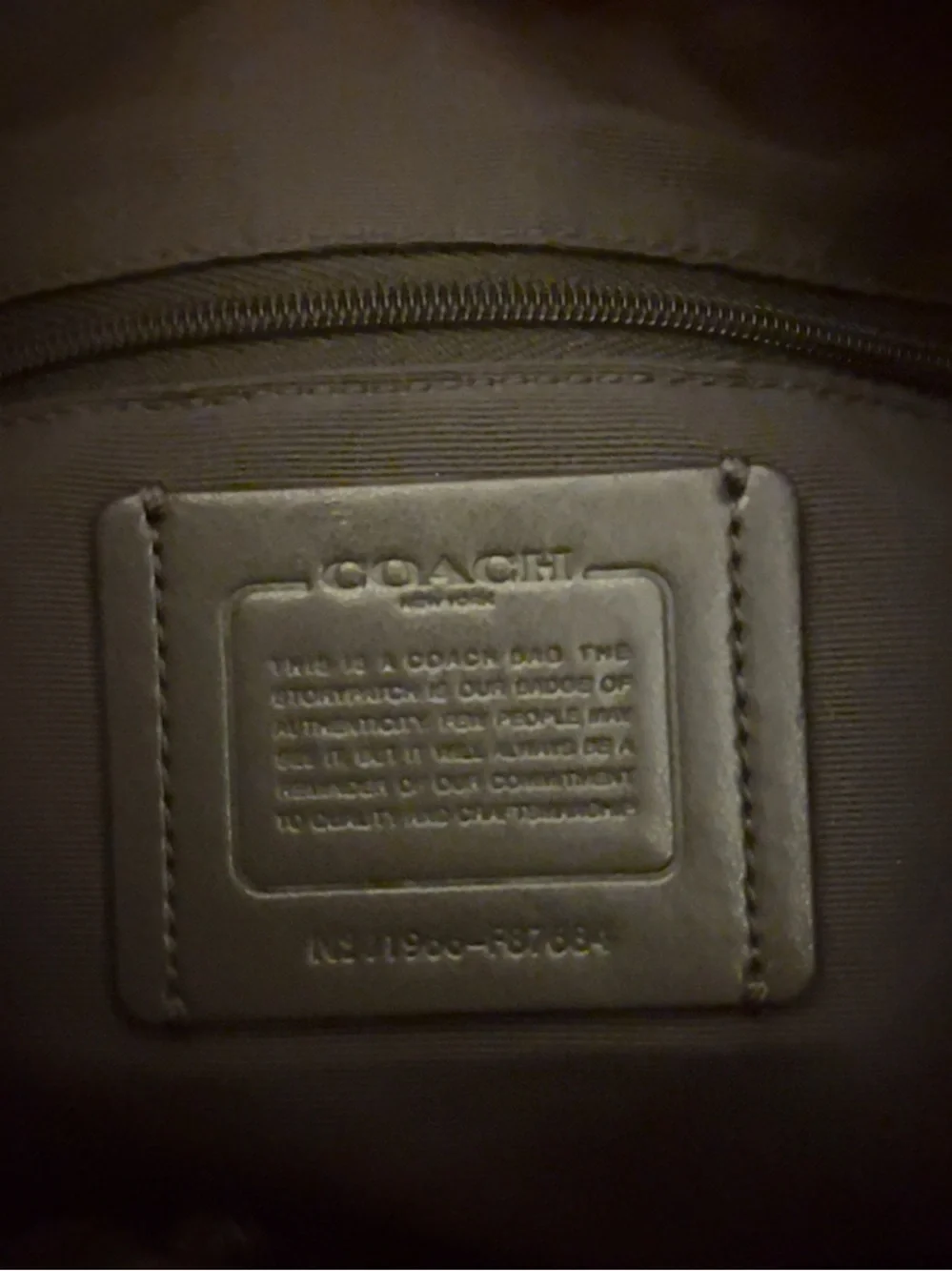 Coach tote metallic